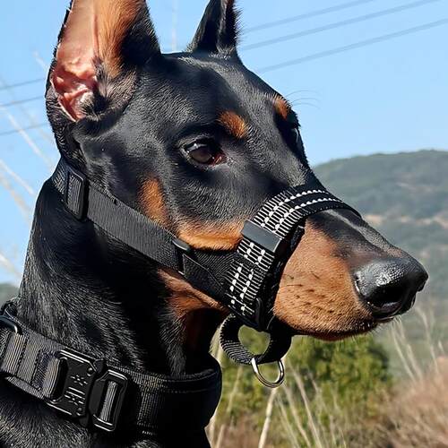 【严选臻品】狗狗战术嘴套防咬防叫大狗口套杜宾德牧马犬大金毛工