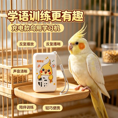 宠帮仕鹦鹉学语复读机