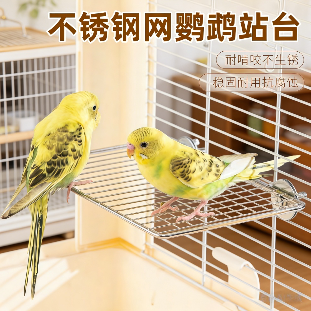 鹦鹉亭台鸟用多途喂食台鸟跳板宠物休息站台不锈钢鸟站台喂食喂水