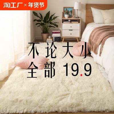 地毯卧室客厅家用房间床边毯茶几沙发新款地垫入户防滑办公室吸水