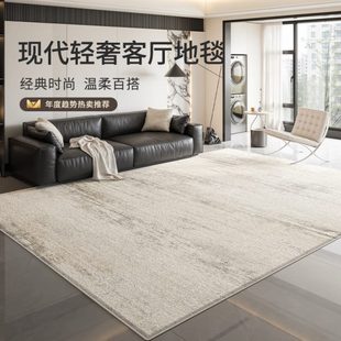 免洗卧室床式 可擦沙发毯新款 边2025意家用轻奢地毯客厅防水地垫