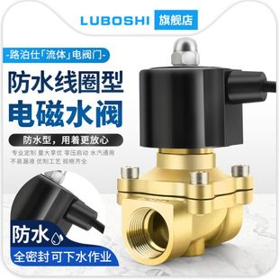 路泊仕电磁水阀型控制寸防水常闭开关220V24分全铜自来水管水阀阀