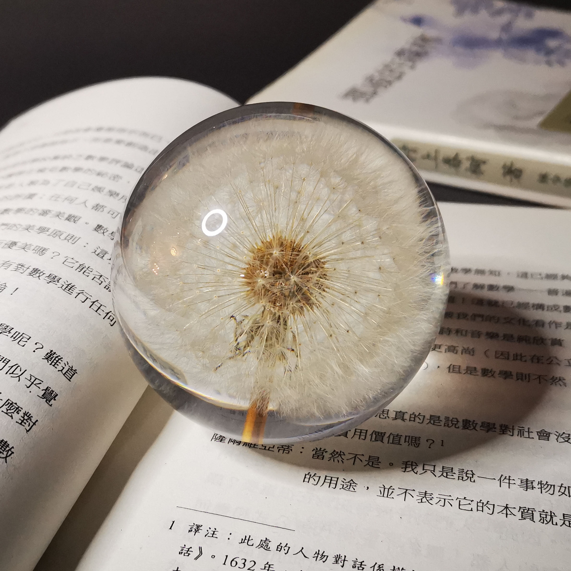 蒲公英小雏菊标本永生花树脂水晶球玄关摆件创意家居节日七夕礼物