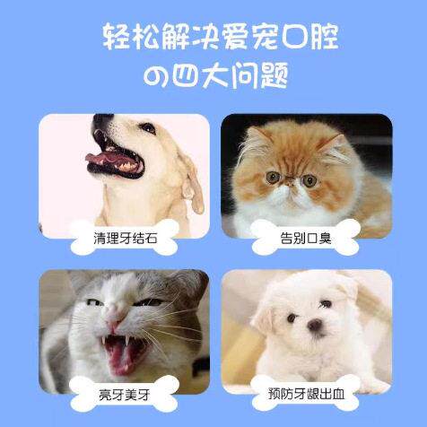 狗狗猫咪宠物牙膏可食用去牙结石泰迪牙膏洁牙工具小型犬食用清洁