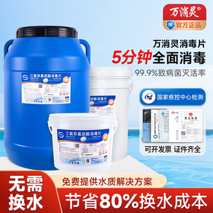 泳池消毒片氯片温泉浴池消毒速溶强氯精酸精杀菌剂氯丸 万消灵