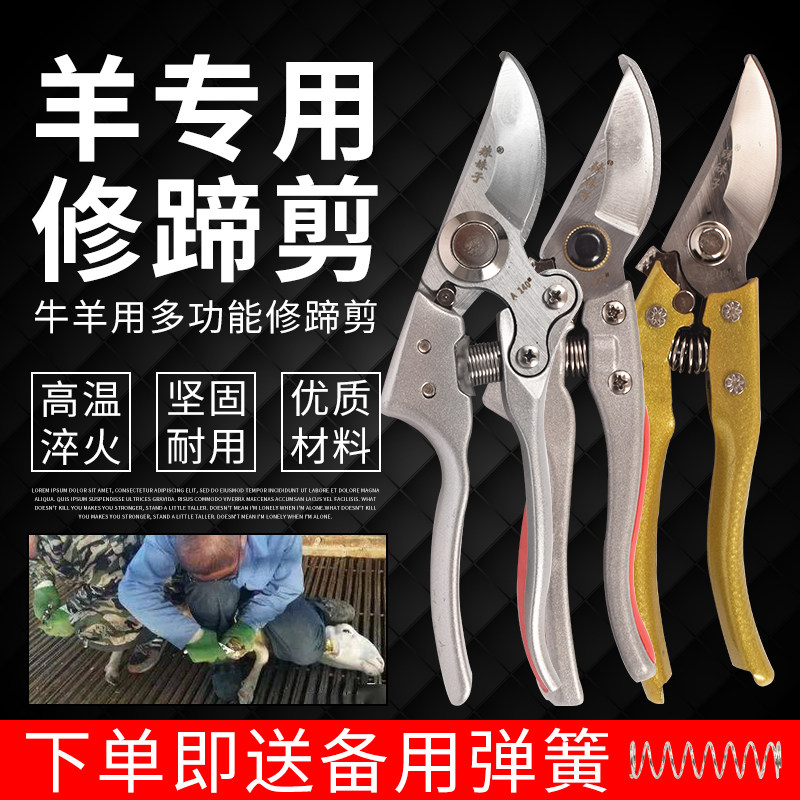 修羊蹄子剪刀羊修蹄刀兽用剪蹄刀羊修蹄工具剪脚趾剪子刀养羊用品