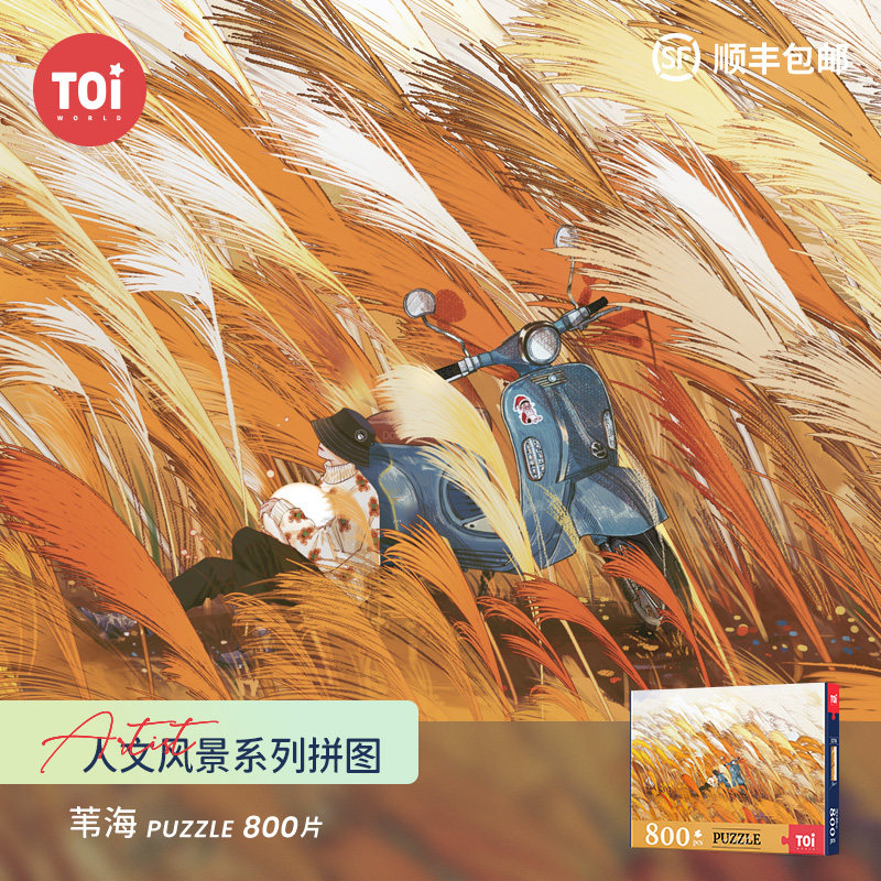 TOI图益潮流玩具拼图成人版减压解闷手工玩具300-500-800-1000片