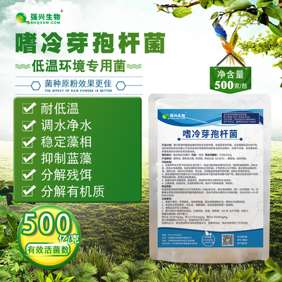 嗜冷芽孢杆菌污水处理水产养殖低温环境改善养殖专用菌种
