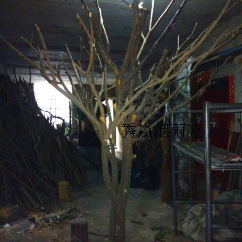 天然树杈 桃木歪脖造型树 橱窗z背景装饰树 漫咖啡大型枯树许愿树