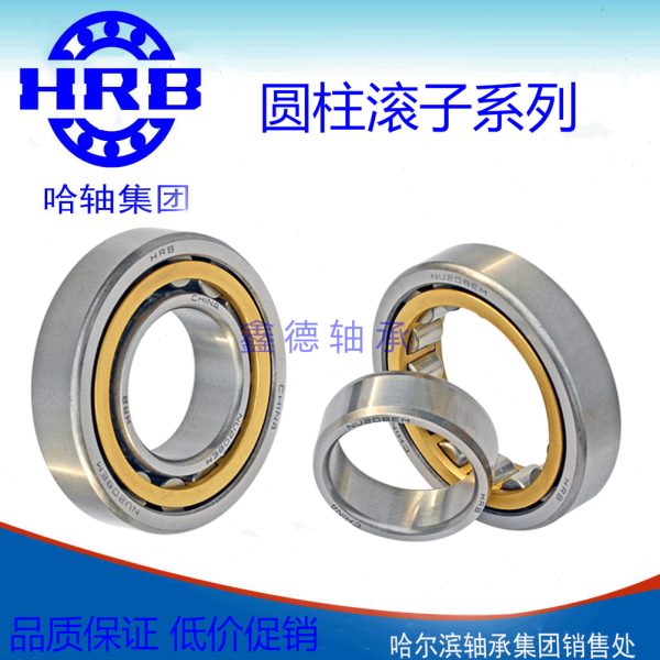 HRB轴承RNU RN NU NJ202 203 204 205 206 207 1006 1007 1008 M