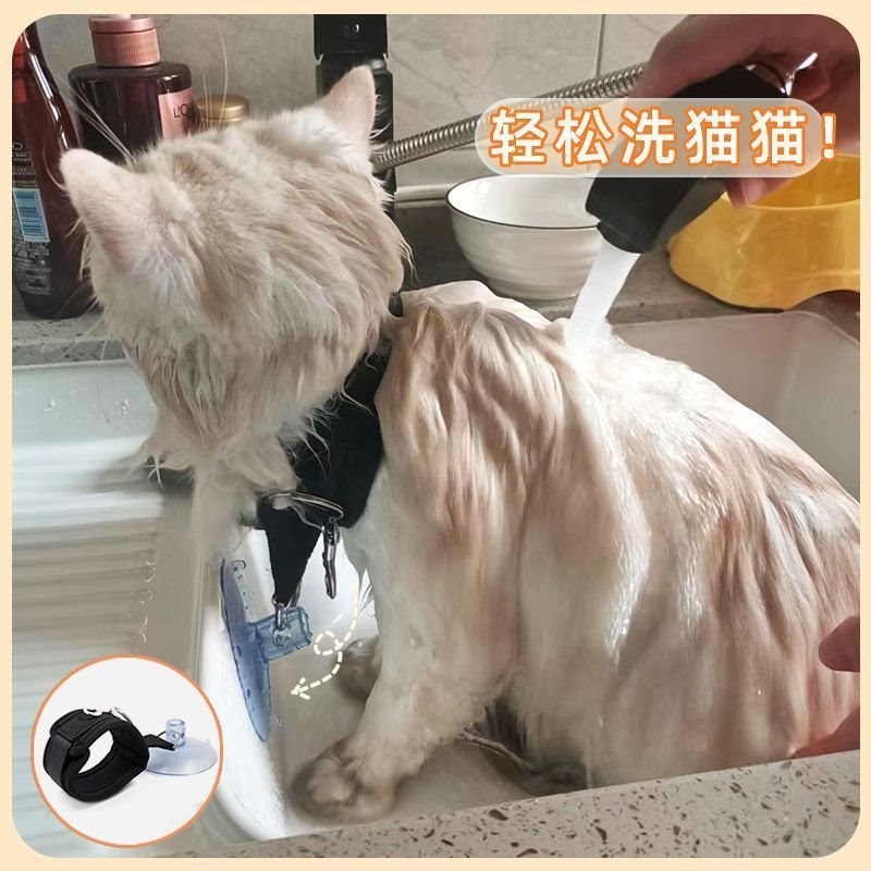 狗狗猫咪洗澡固定器防逃跑应激宠物美容台吊绳剪毛吹干吸盘牵引绳