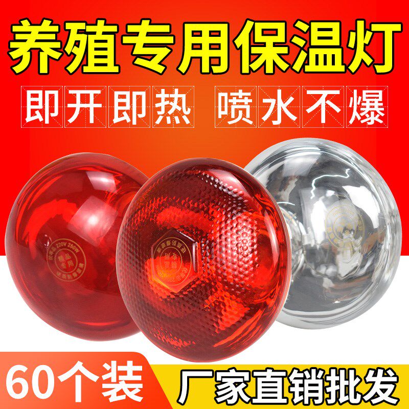 红外线保暖灯f仔猪红外线灯泡取暖灯畜牧保温灯泡养殖场专用保暖