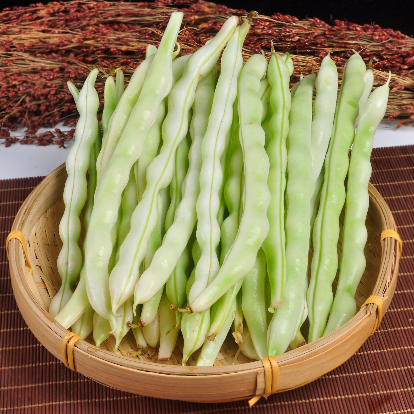 白芸豆老来少豆角白不老都