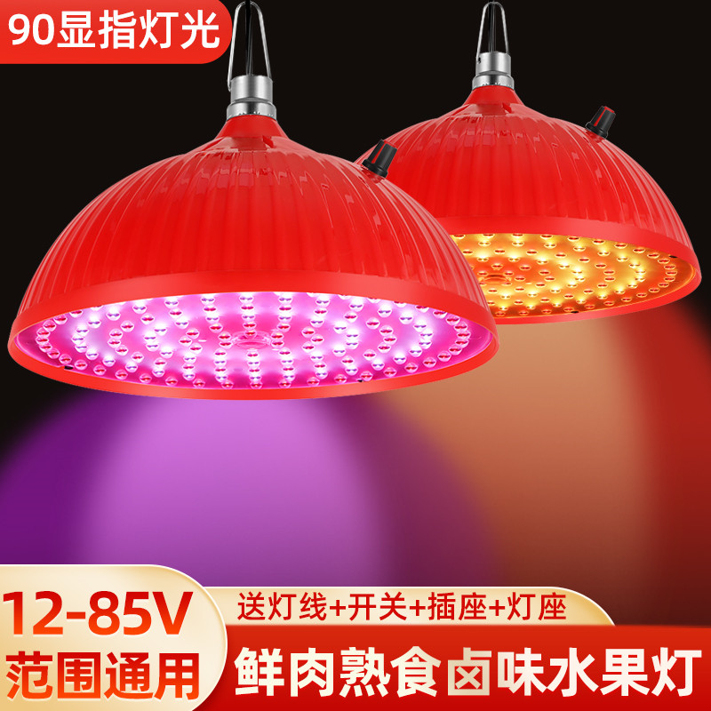 12伏夜市摆摊灯j低压led电瓶灯48V地摊灯水果灯生鲜灯熟食灯可变