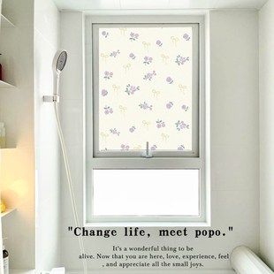 风浴室窗户磨砂玻璃纸防窥透光级感遮光窗