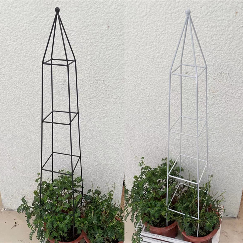 园艺球兰蓝雪花山乌龟月季铁线莲花架爬藤小架子植物攀爬支架杆