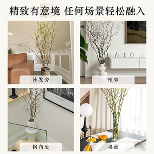 龙柳枝条树枝树干装饰室内高级感侘寂风天然真干插干鲜枝