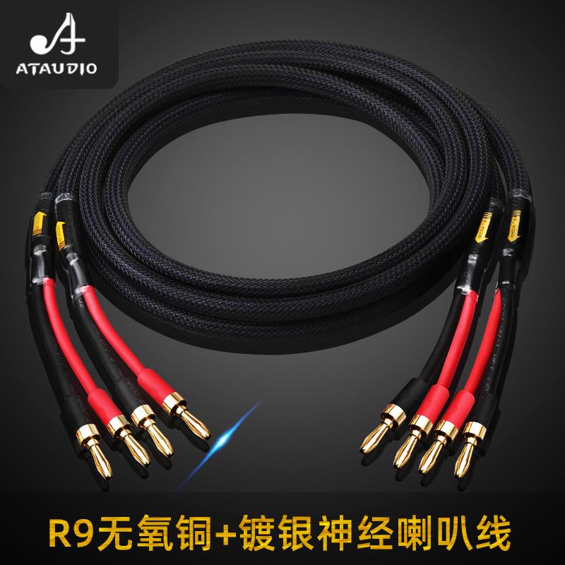 ATAUDIO R9发烧级无氧铜带镀银神经线音箱喇叭线音响线连接专用线