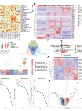 NHANES代码单细胞测序GBD数据分析TCGA指导生物转录组GEO生信分析
