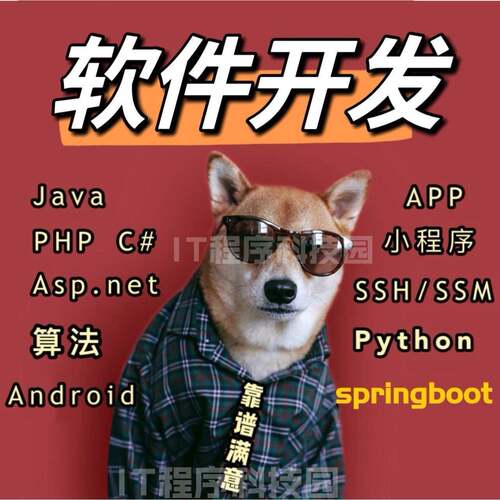 计算机小程序设计java代码springboot网站vue系统app开发python