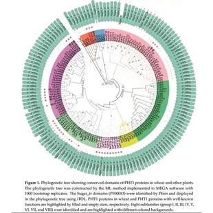 16SITS微生物多样性原始数据分析二代测序fastq数据分析服务