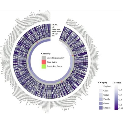 生信分析指导/单细胞测序转录组/孟德尔随机化/Meta医学讲解R语言