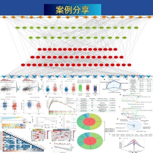 生信分析免疫浸润甲基化16s代谢组蛋白组TCGA/GEO转录组数据分析