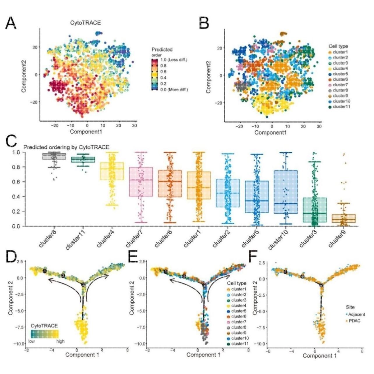 circos圈图基因组共线性生信分析R语言绘图服务
