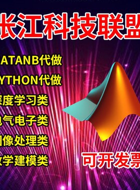 matlab代码帮做编写程序代编代做python深度学习复现算法仿真编程
