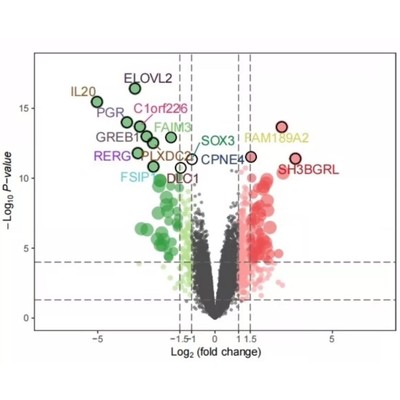 转录组测序分析 RNA-seq标准分析 从原始数据到表达矩阵 专业可靠