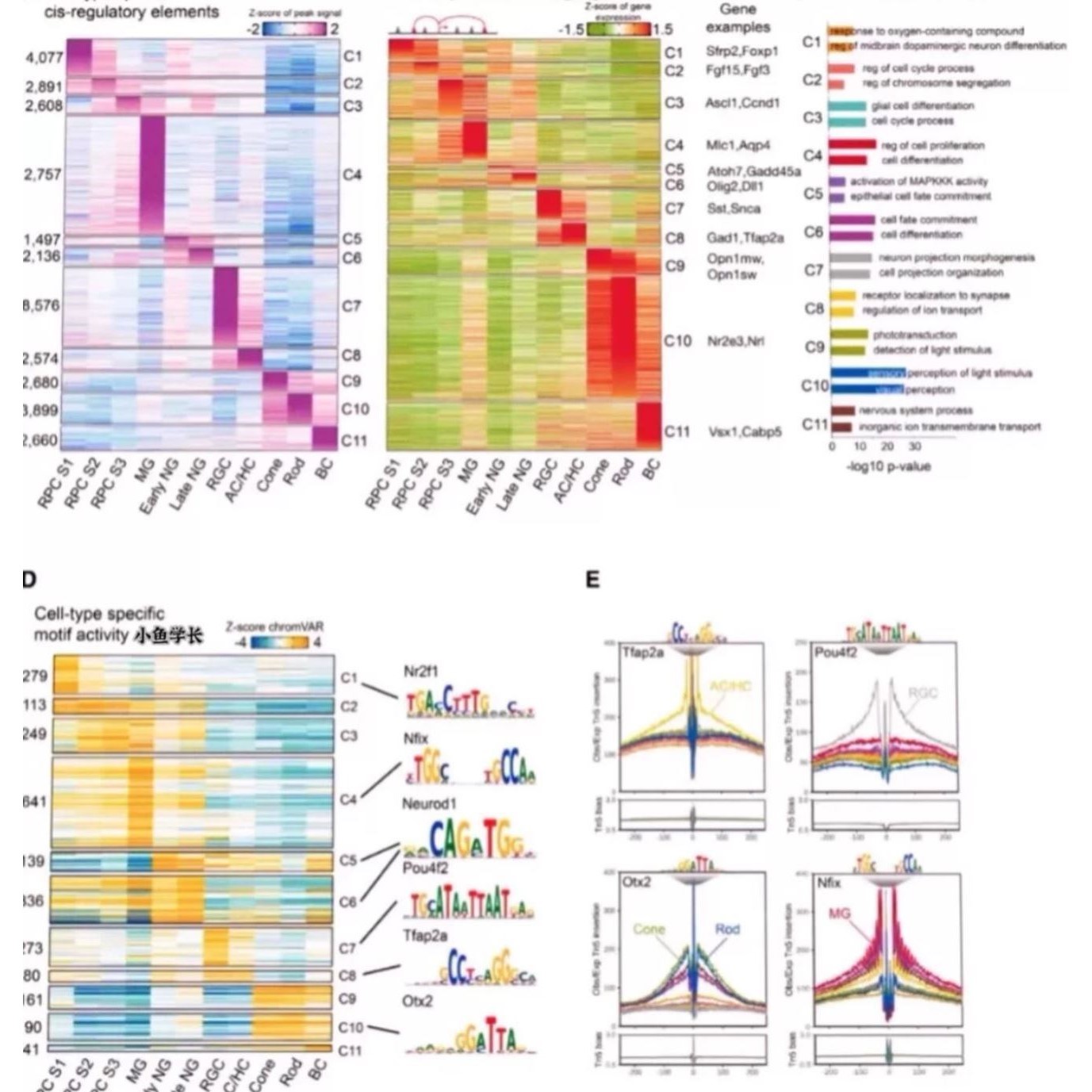 多组学联合分析转录组代谢组基因差异16S肠道菌群单细胞测序分析