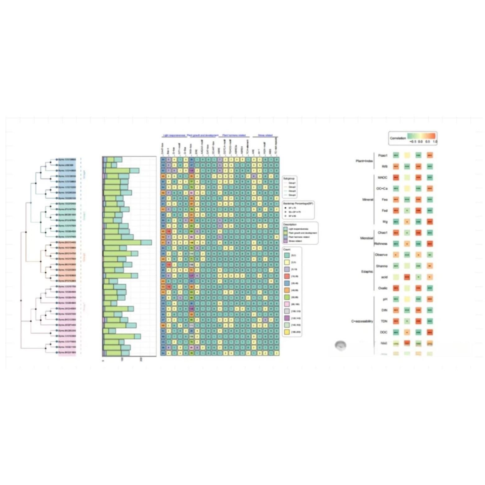 NHANES数据库联合孟德尔随机化分析新课(RCS曲线/亚组分析)