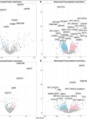医学数据统计cox生存分析ROC曲线森林图柱状图R语言科研绘图 代做