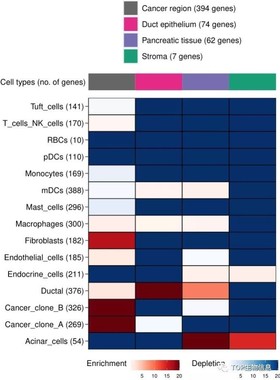 【空间转录组】MIA分析,评估空间region富集的细胞类型