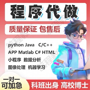 matlab程序代编代码帮做图像神经网络python代做深度学习算法仿真