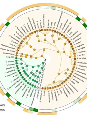 scif作图,graphpad prism作图,科研作图,Origin,绘图,pcr数据