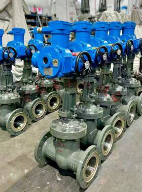 矿用高压蒸汽电动闸阀Z941H-25C-DN100隔爆型硬密封