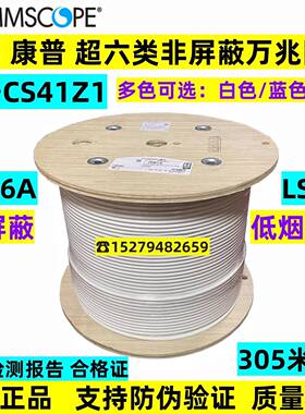 正品康普amp安普超六类非屏蔽网线CAT6A低烟无卤万兆双绞线CS41Z1