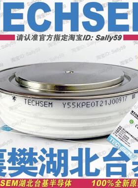 Y55KPE0T KP1600A1600V TECHSEM湖北台基KT54cT晶闸管KPEOT可控硅