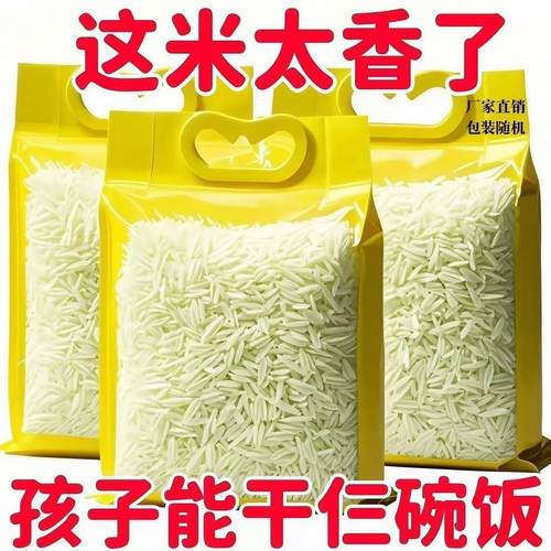 新米】10斤长粒猫牙米优质大米百合长粒百合煮饭干熬粥长款5斤1斤