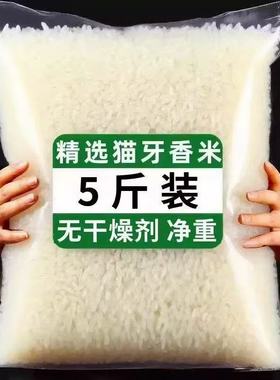 2025年新米猫牙米晚稻香米超长粒大米丝苗20斤煲仔饭米蛋炒饭粥米