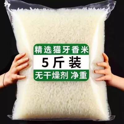 2025年新米猫牙米晚稻香米超长粒大米丝苗20斤煲仔饭米蛋炒饭粥米