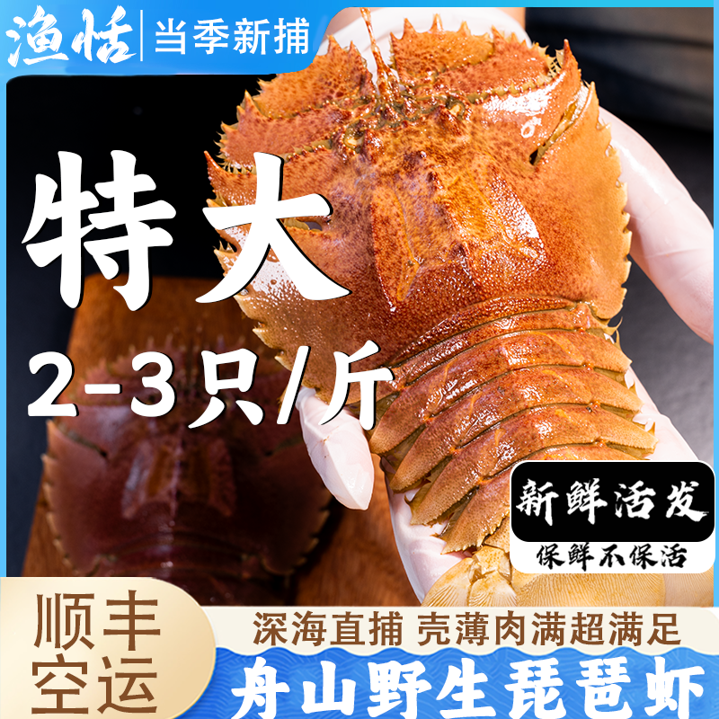 新鲜活发舟山东海特大琵琶虾