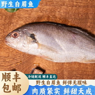 5斤装舟山白眉鱼东海现货冷冻海鲜新鲜深海捕黄婆鸡白鳘子白梅鱼