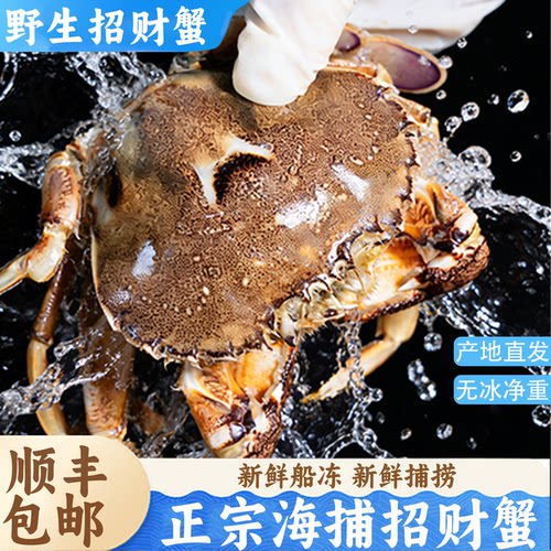 东海新鲜冷冻招财蟹沙蟹3斤装
