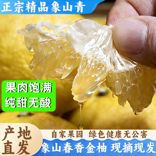 【9斤装】浙江象山青纯甜爽口日本春香橘柚新鲜水果橘子桔子柚子