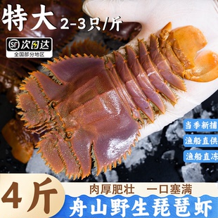 刚死压冰发货冷冻舟山琵琶虾新鲜冻皮皮虾虾姑爬虾速冻虾省外冻发