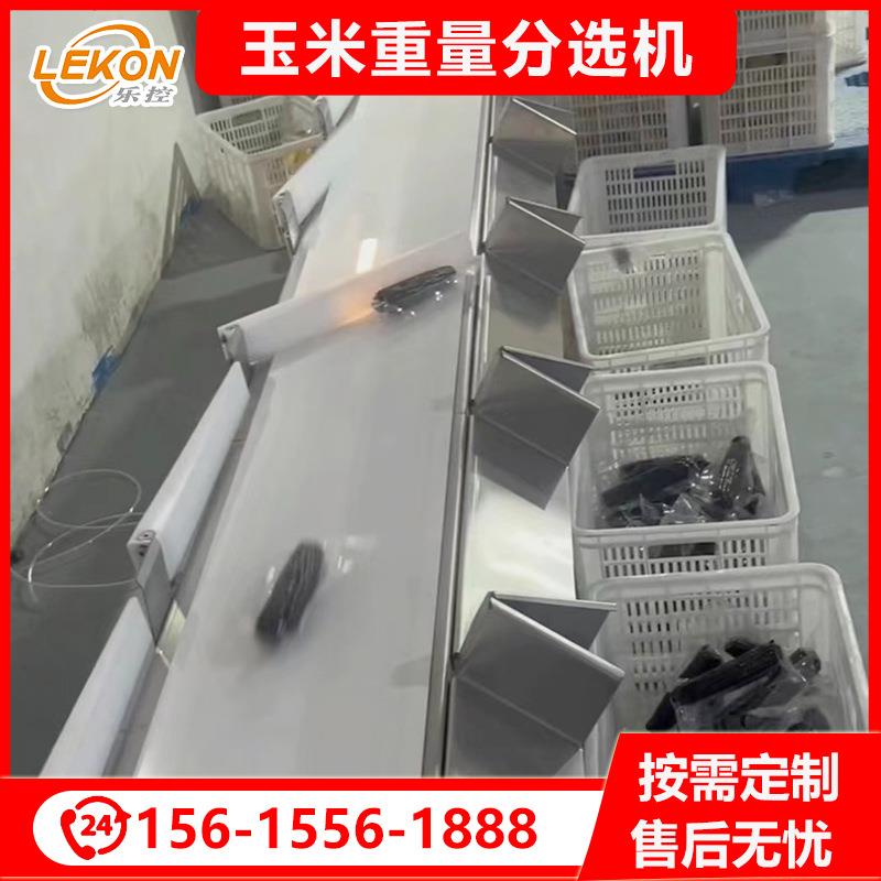 真空玉米重量分选机食品带式分级秤玉米皮带分选机厂家