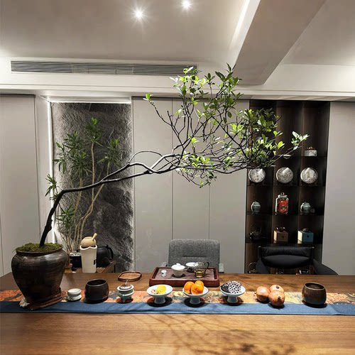 海岛春花栀子花盆景室内庭院绿植