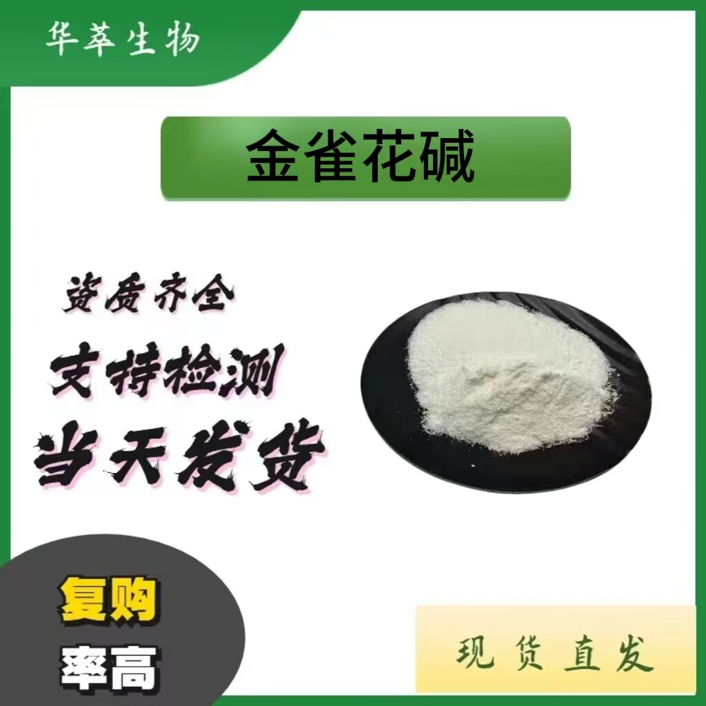 金雀花碱粉苦豆子提取物10g起订
